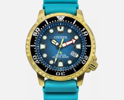 citizen eco drive divers promaster watch with glow in the dark hands and numbers