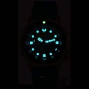 citizen eco drive divers promaster watch with glow in the dark hands and numbers